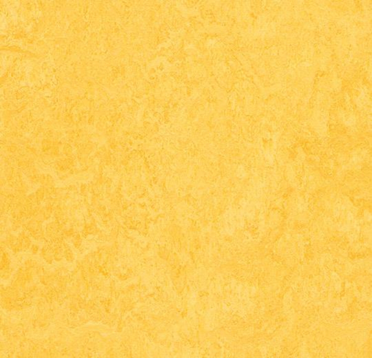 Pilt Näidis Marmoleum Fresco 2.5 lemon zest 3251