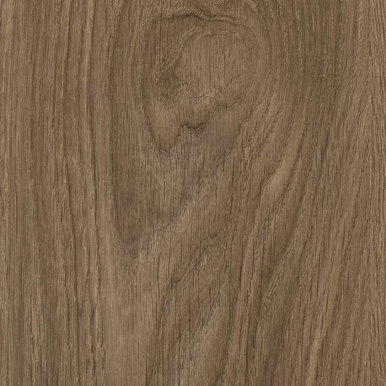 Pilt Näidis Moduleo 55 Impressive laurel oak 51864
