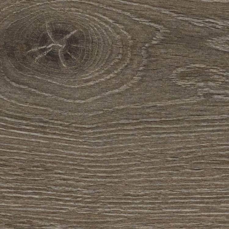 Kõrgsurvepõrand BerryAlloc Original elegant soft grey oak