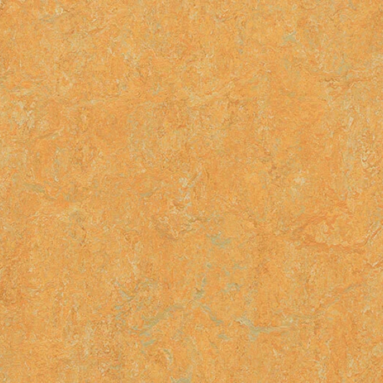 Pilt Marmoleum Real 2.0 golden saffron 3847