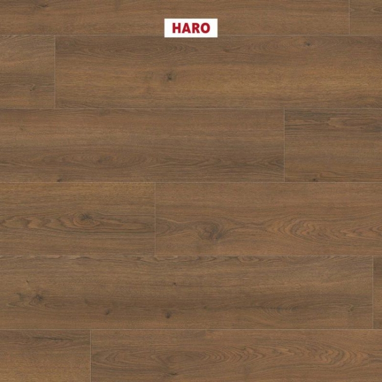 HARO Tritty 100 Campus 4V oak flavia smoked authentic