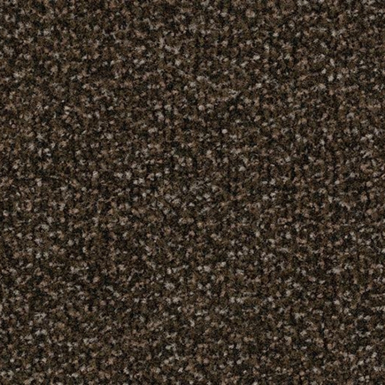 Pilt Porivaip Coral Classic 4744 espresso 200cm F