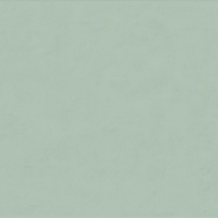 Pilt Seinaplaat Floralia sauge 60x120R 