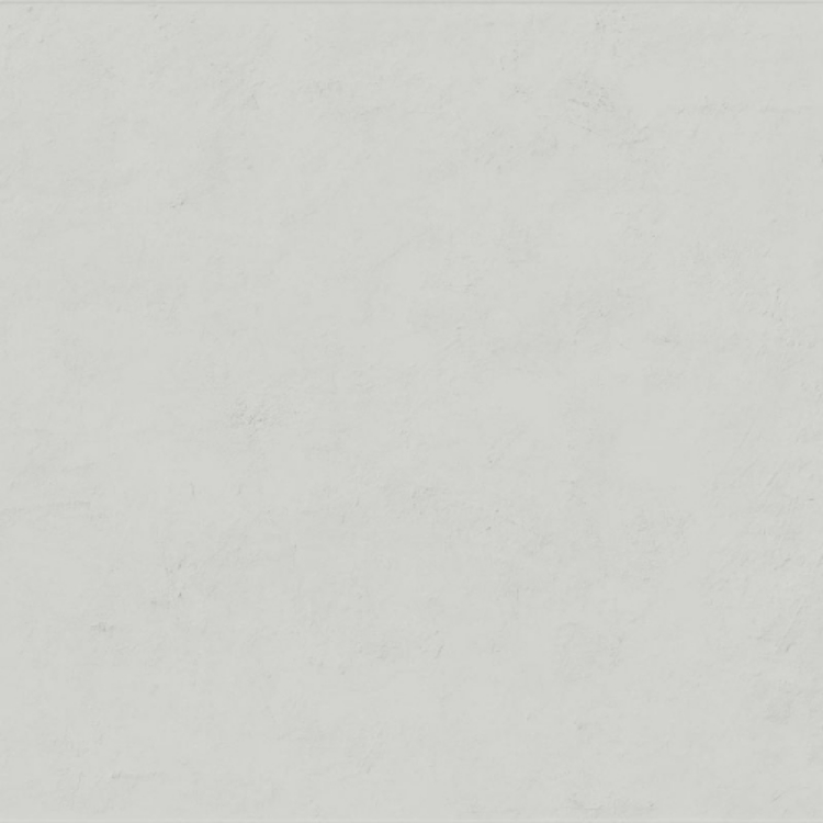 Pilt Seinaplaat Floralia neige 60x120R