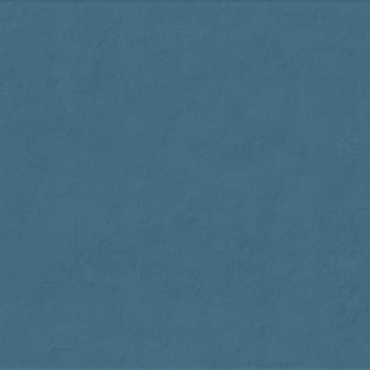 Pilt Seinaplaat Floralia iris 60x120R