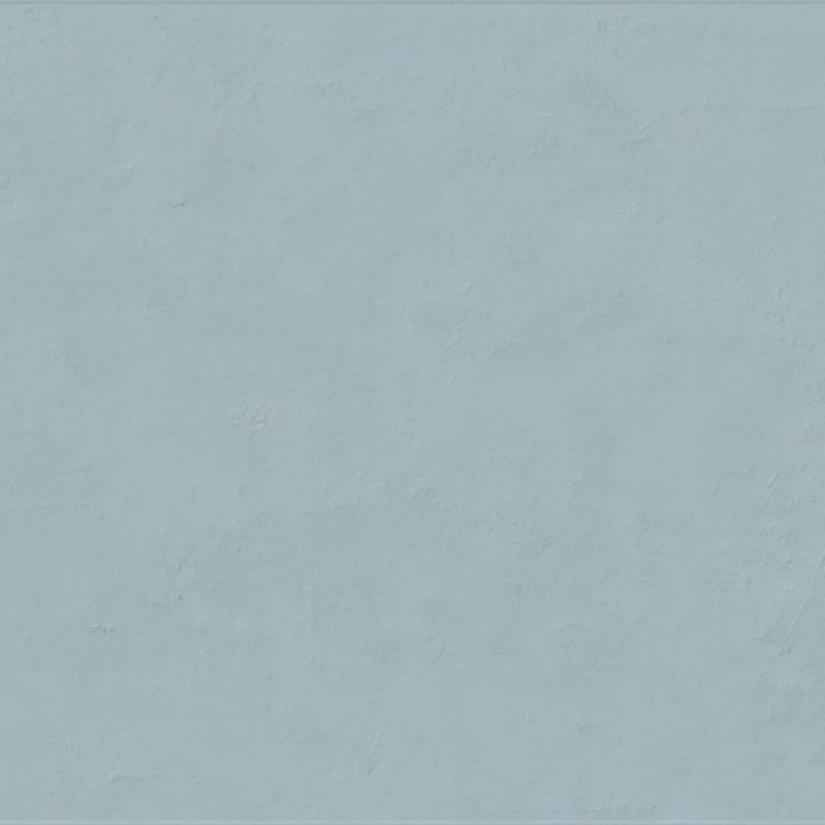 Pilt Seinaplaat Floralia bleuet 60x120R