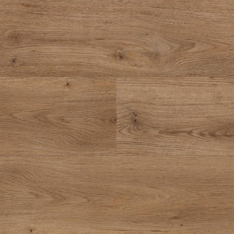 Pilt Näidis Alloc Zenn GD55 porto 60002255